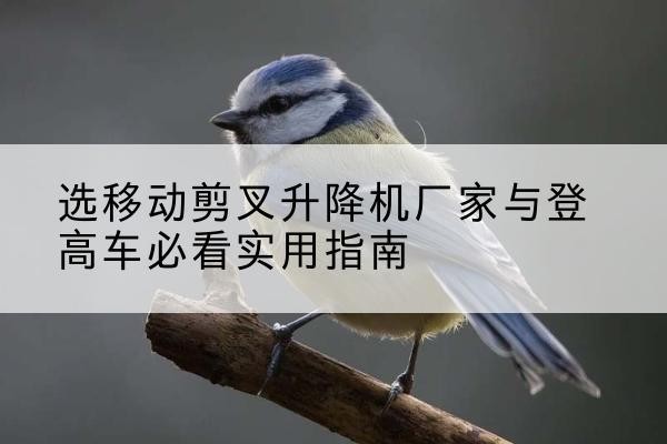 息县电动升降机厂家-选移动剪叉升降机厂家与登高车必看实用指南