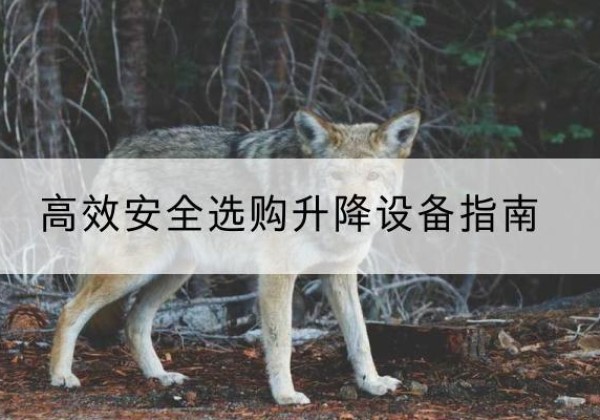 息县升降货梯厂家推荐-*安全选购升降设备指南