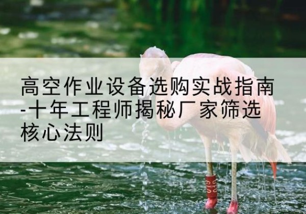 息县剪叉式升降机厂家-高空作业设备选购实战指南-十年工程师揭秘厂家筛选核心法则